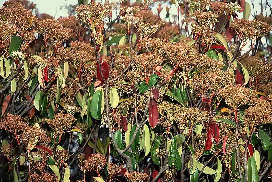 Foto de Madrid (Comunidad de Madrid), España