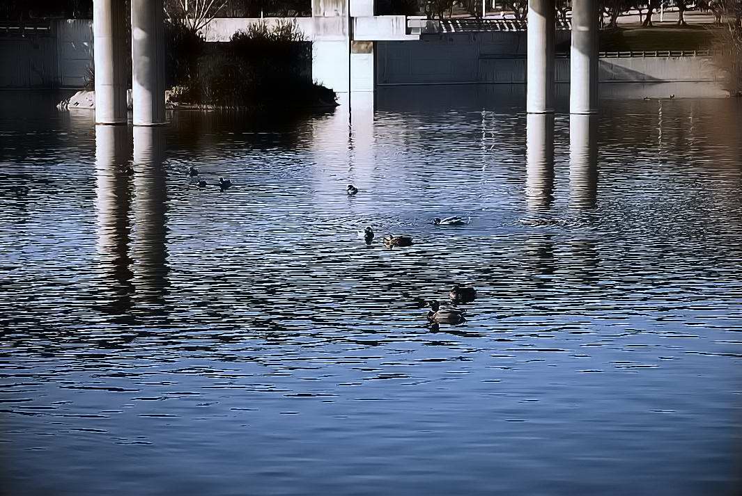 Foto de Madrid (Comunidad de Madrid), España