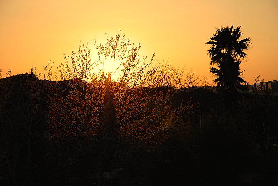 Foto de Madrid (Comunidad de Madrid), España