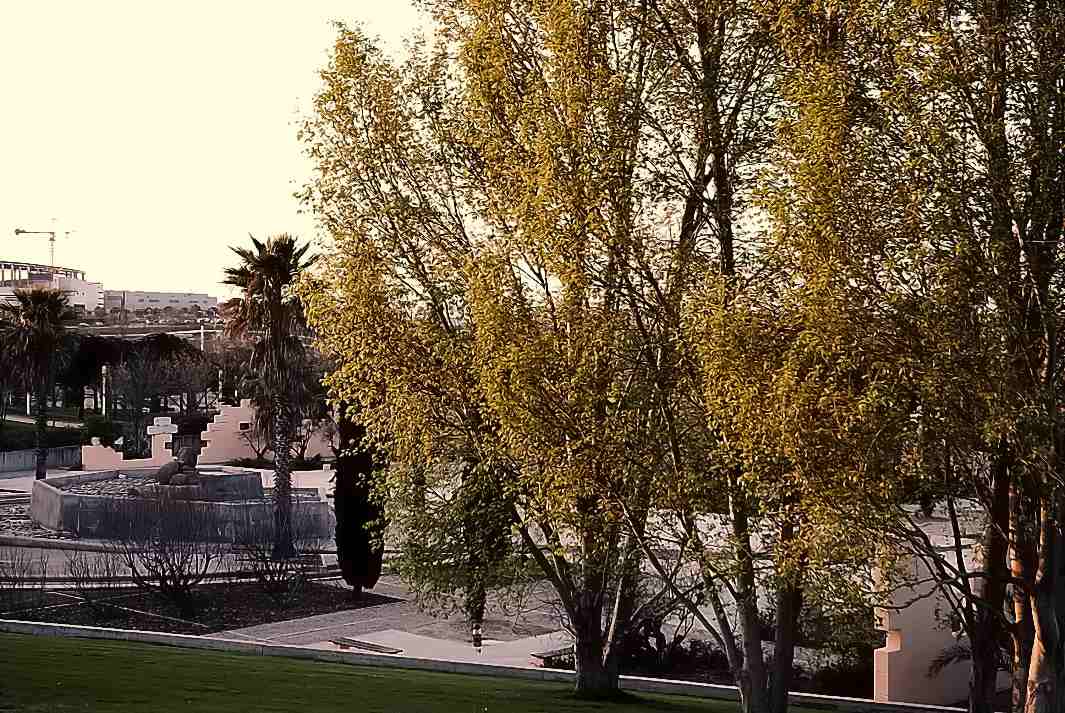 Foto de Madrid (Comunidad de Madrid), España