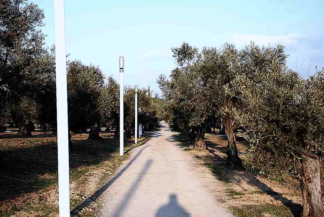 Foto de Madrid (Comunidad de Madrid), España