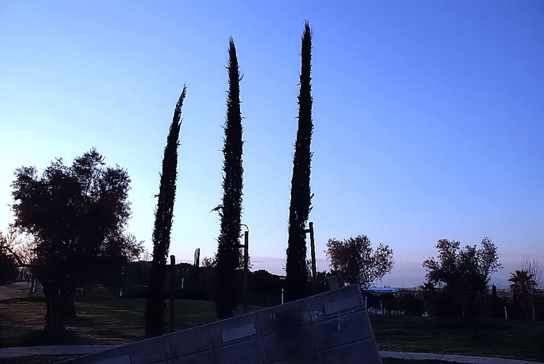 Foto de Madrid (Comunidad de Madrid), España