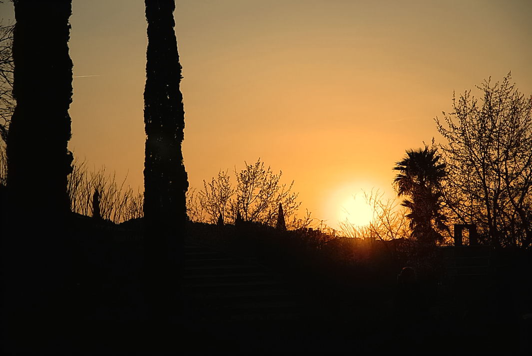 Foto de Madrid (Comunidad de Madrid), España