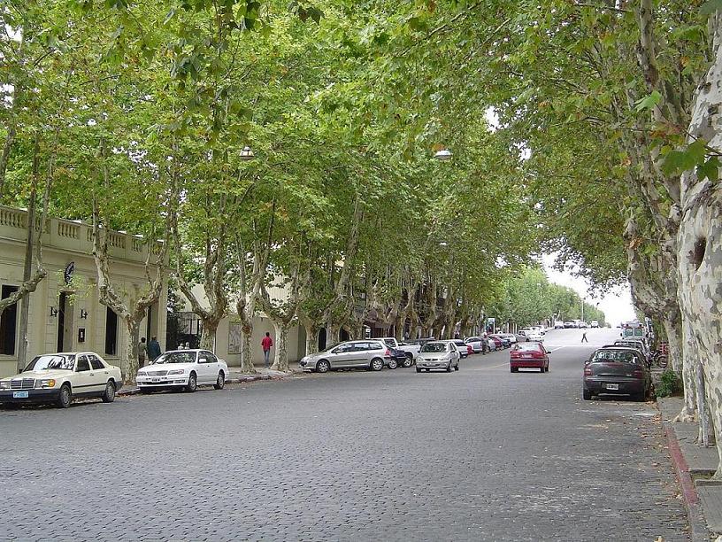 Foto de Colonia, Uruguay