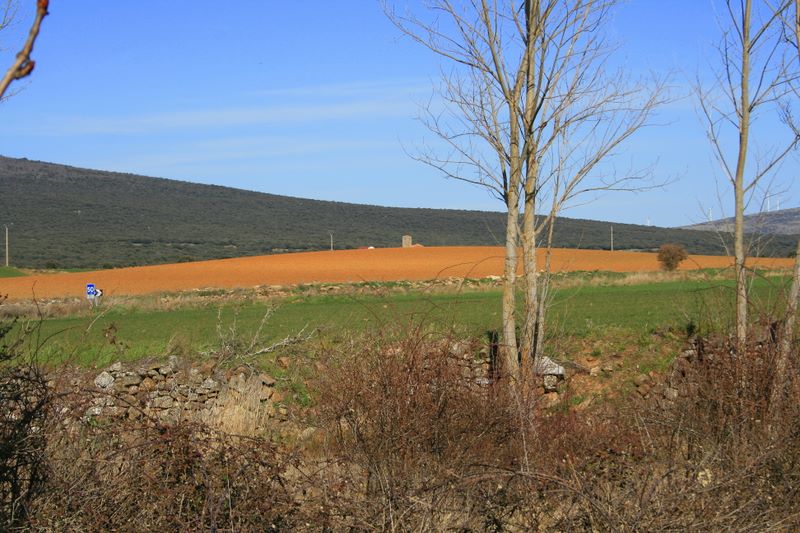 Foto de Arancón (Soria), España