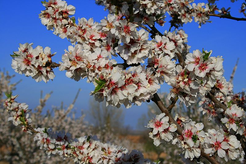 Foto de Valverde de Ágreda (Soria), España