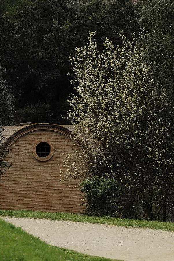 Foto de Cerdanyola (Barcelona), España