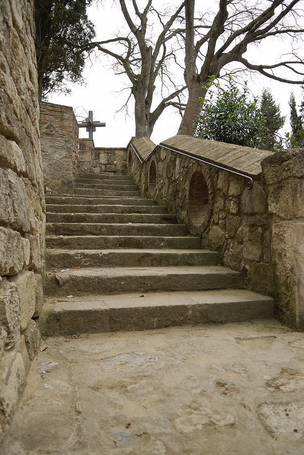 Foto de Sierra de Collserola (Barcelona), España