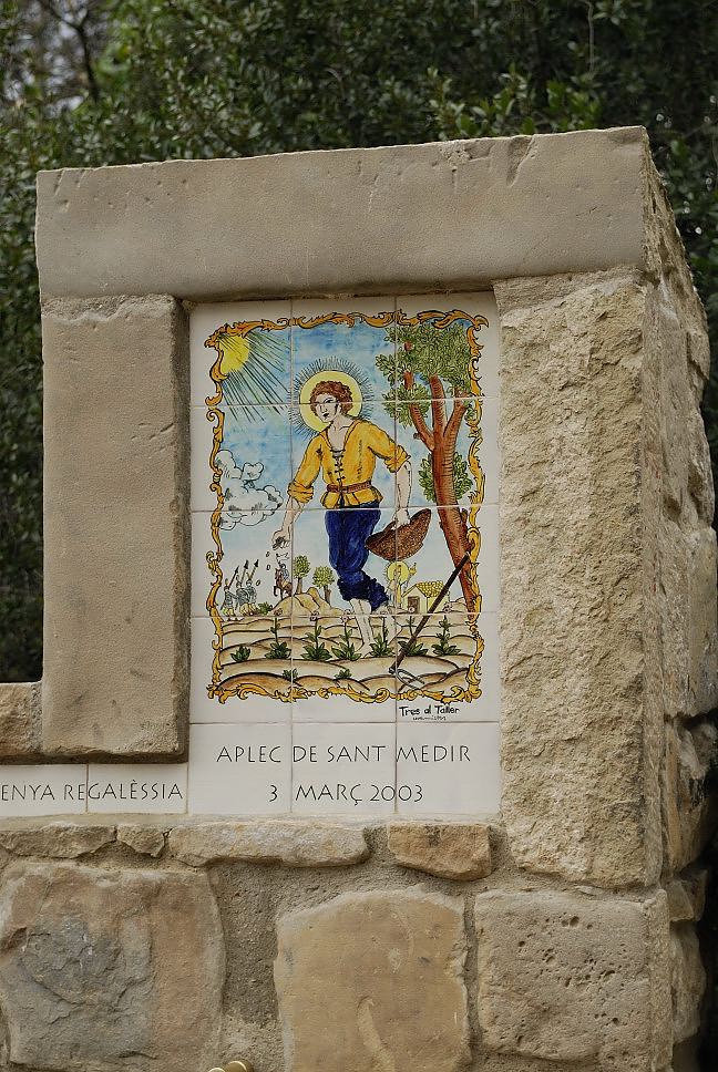 Foto de Sierra de Collserola (Barcelona), España