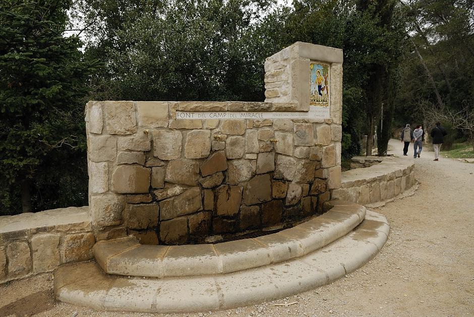 Foto de Sierra de Collserola (Barcelona), España