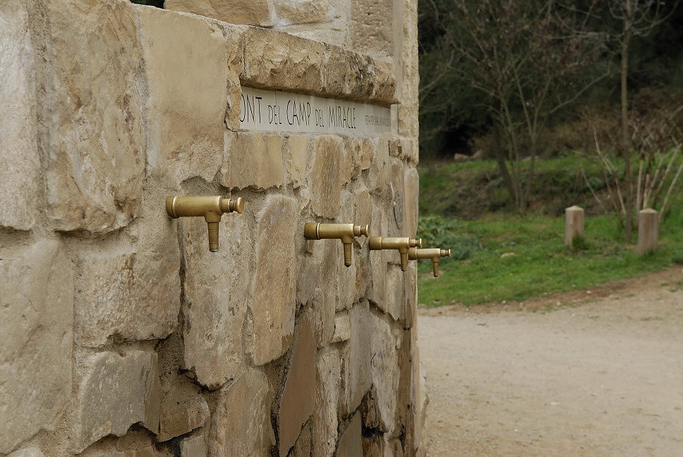 Foto de Sierra de Collserola (Barcelona), España
