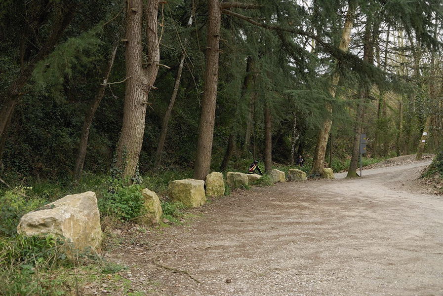 Foto de Sierra de Collserola (Barcelona), España