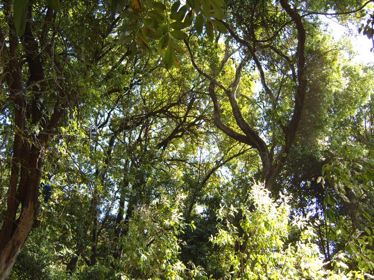 Foto de Wukro, Tigray, Etiopía