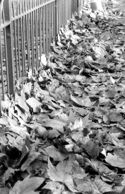 Foto de Londres, El Reino Unido