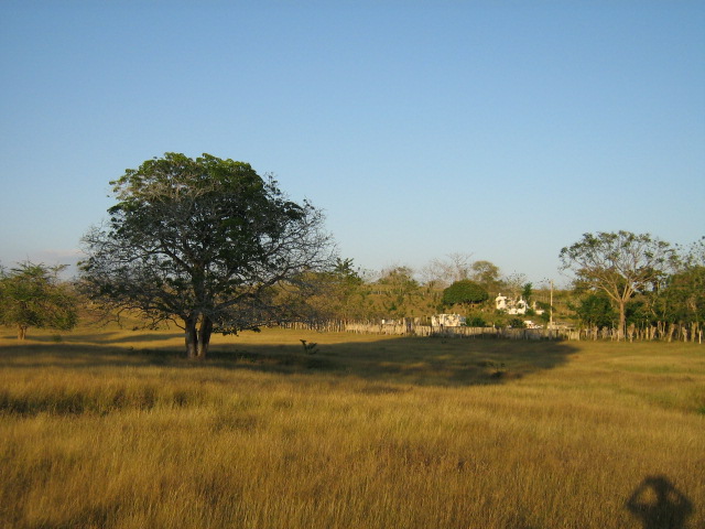 Foto de SAN PEDRO (SUCRE), Colombia