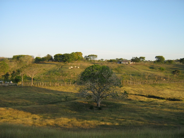 Foto de SAN PEDRO (SUCRE), Colombia