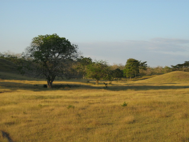 Foto de SAN PEDRO (SUCRE), Colombia