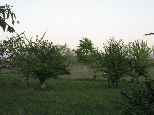 Foto de SAN PEDRO (SUCRE), Colombia