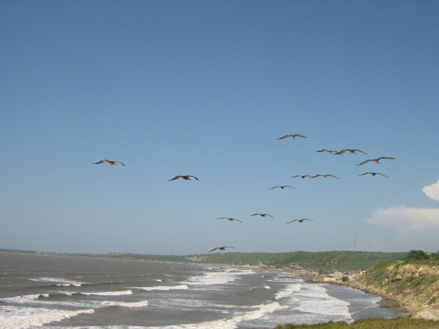 Foto de Salgar (Atlantico), Colombia