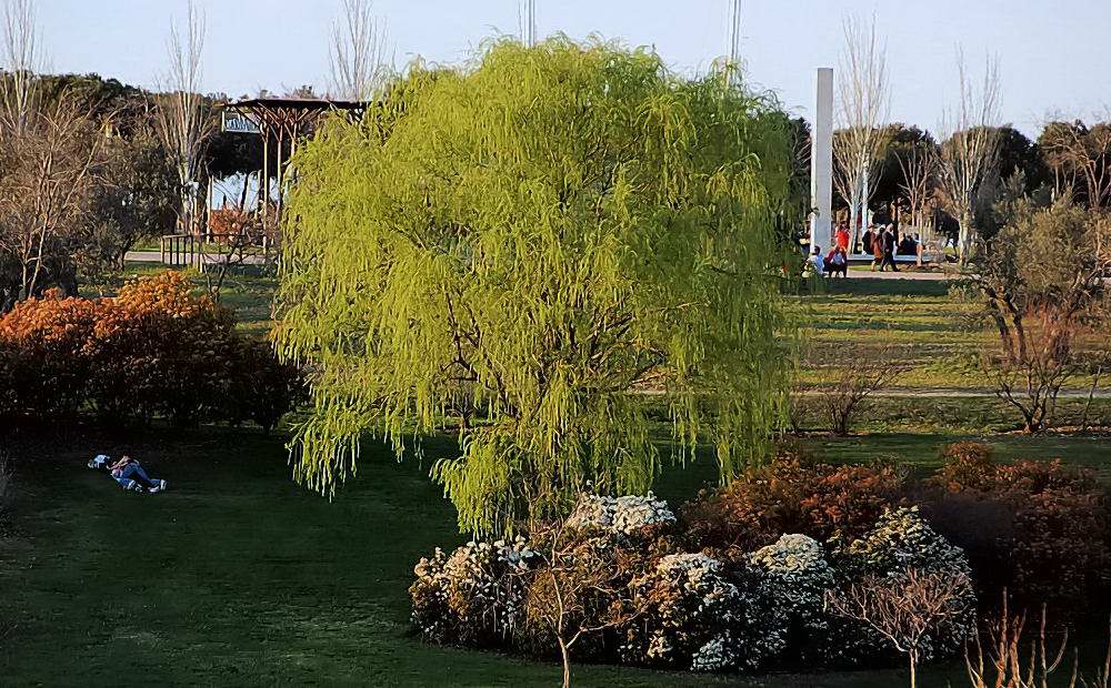 Foto de Madrid (Comunidad de Madrid), España