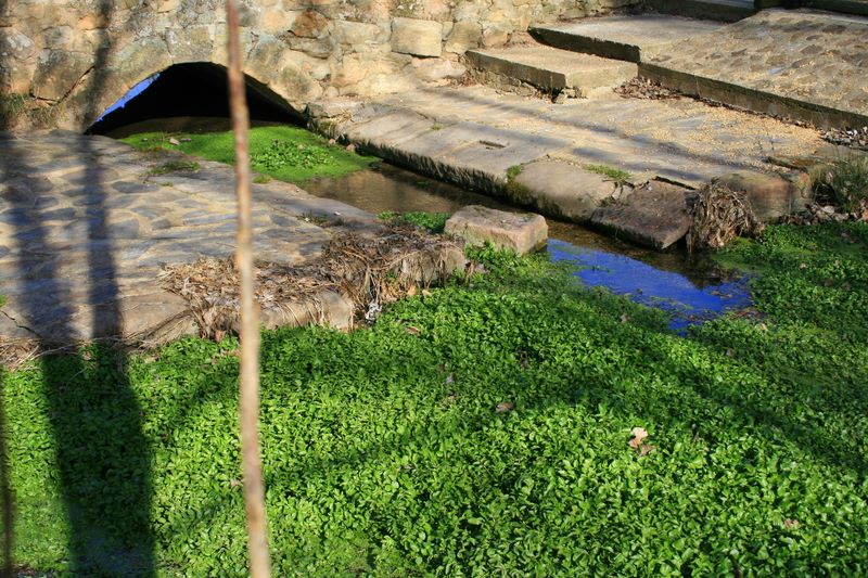 Foto de Renieblas (Soria), España