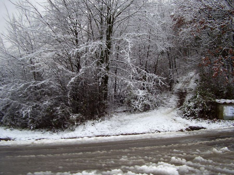 Foto de Aramo, Italia