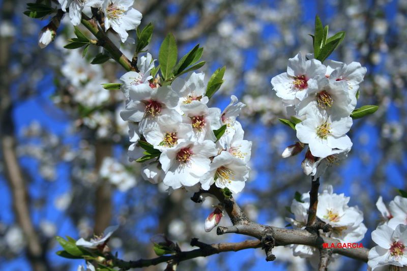 Foto de Valverde de Ágreda (Soria), España
