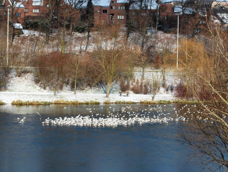 Foto de Louvain la Neuve, Bélgica