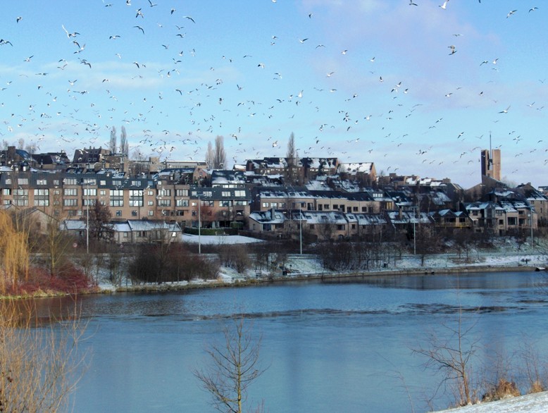Foto de Louvain la Neuve, Bélgica