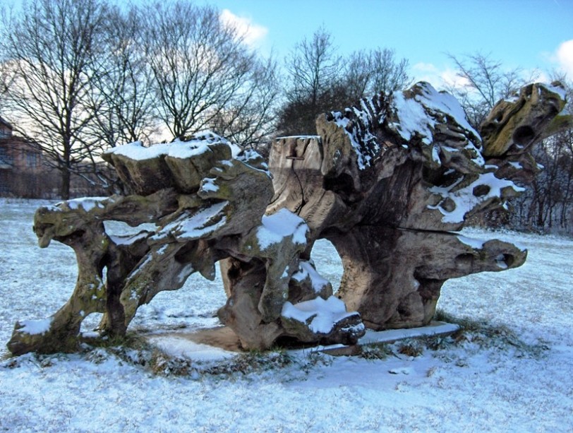 Foto de Louvain la Neuve, Bélgica