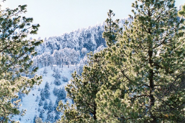 Foto de Zapotlán el Grande, México
