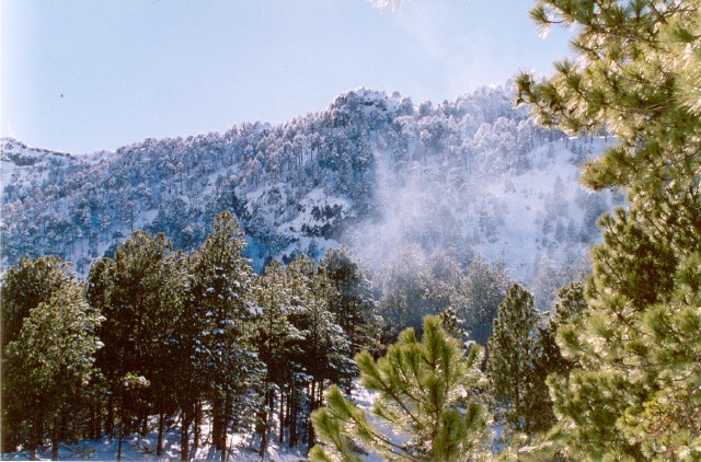 Foto de Zapotlán el Grande, México