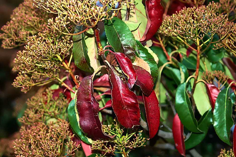 Foto de Madrid (Comunidad de Madrid), España