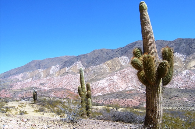 Foto de La Rioja, Argentina