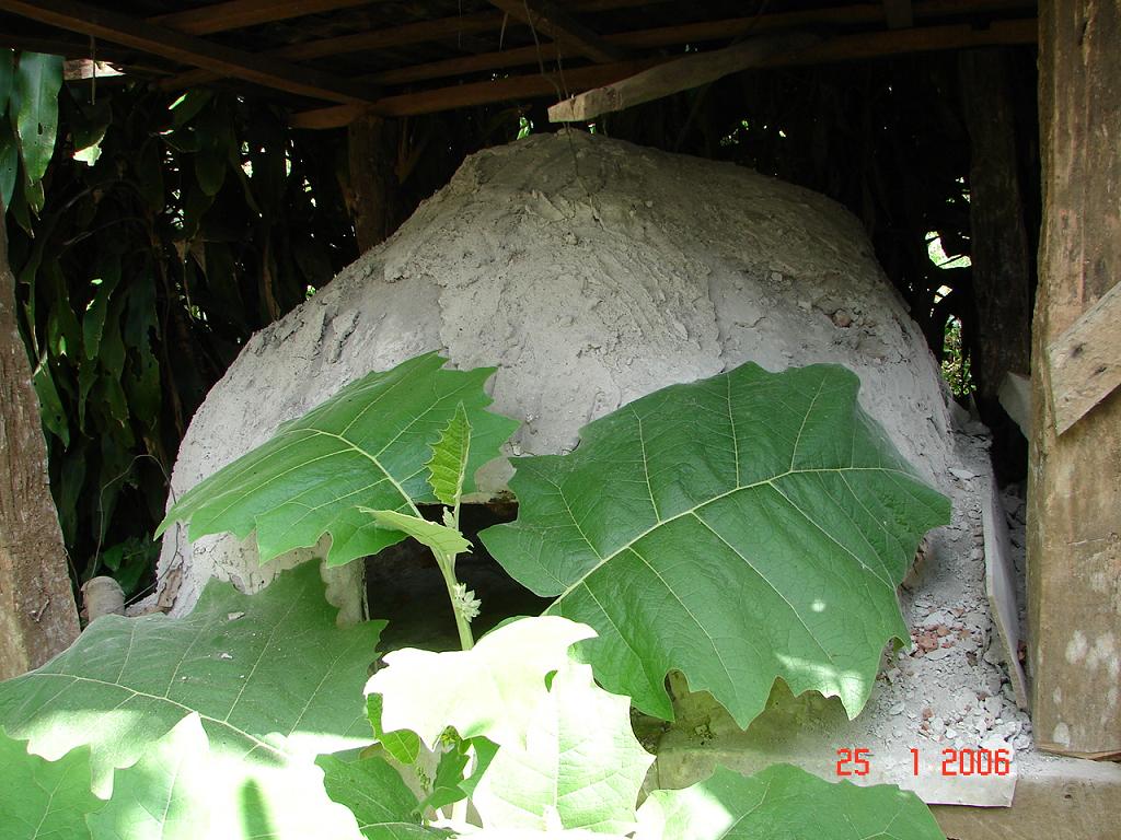 Foto de Guanacaste, Costa Rica