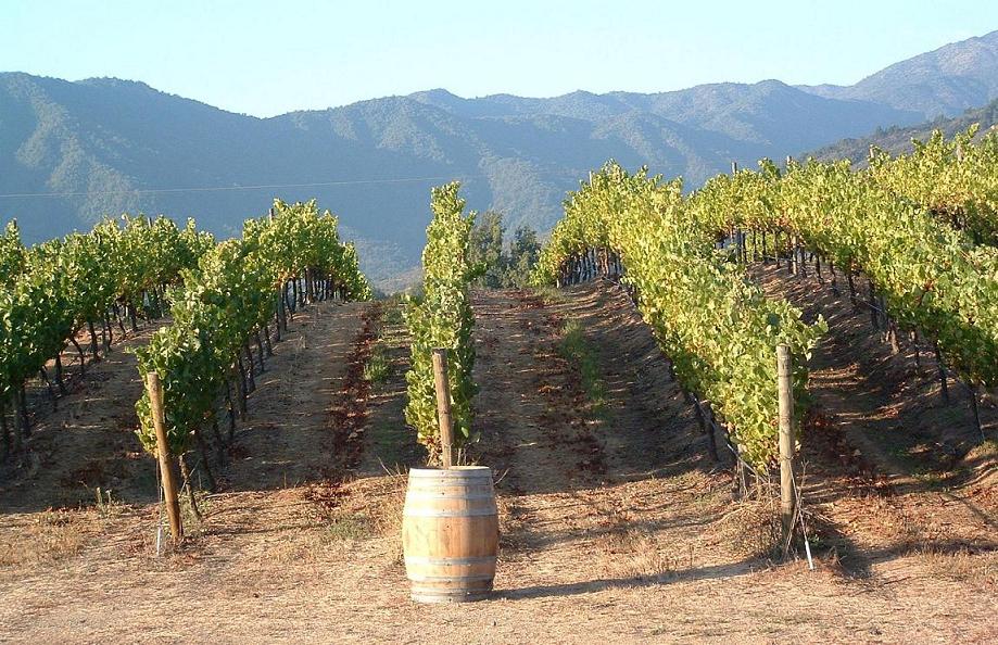 Foto de Casablanca, Chile