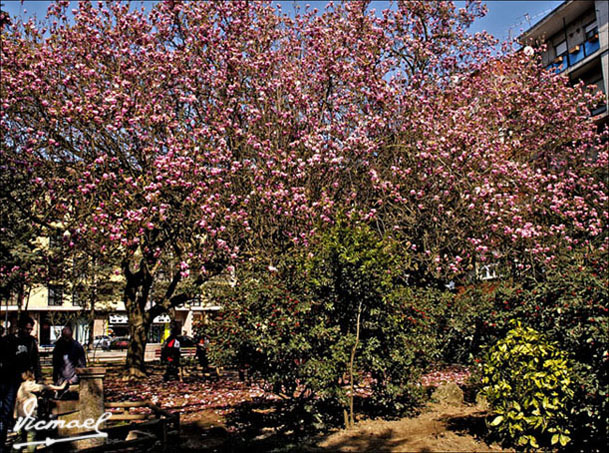 Foto de Cangas de Onís (Asturias), España