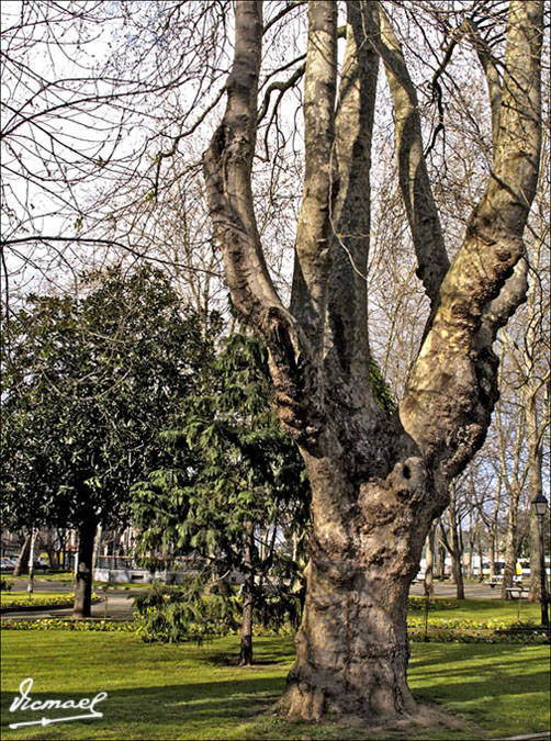 Foto de Avilés (Asturias), España