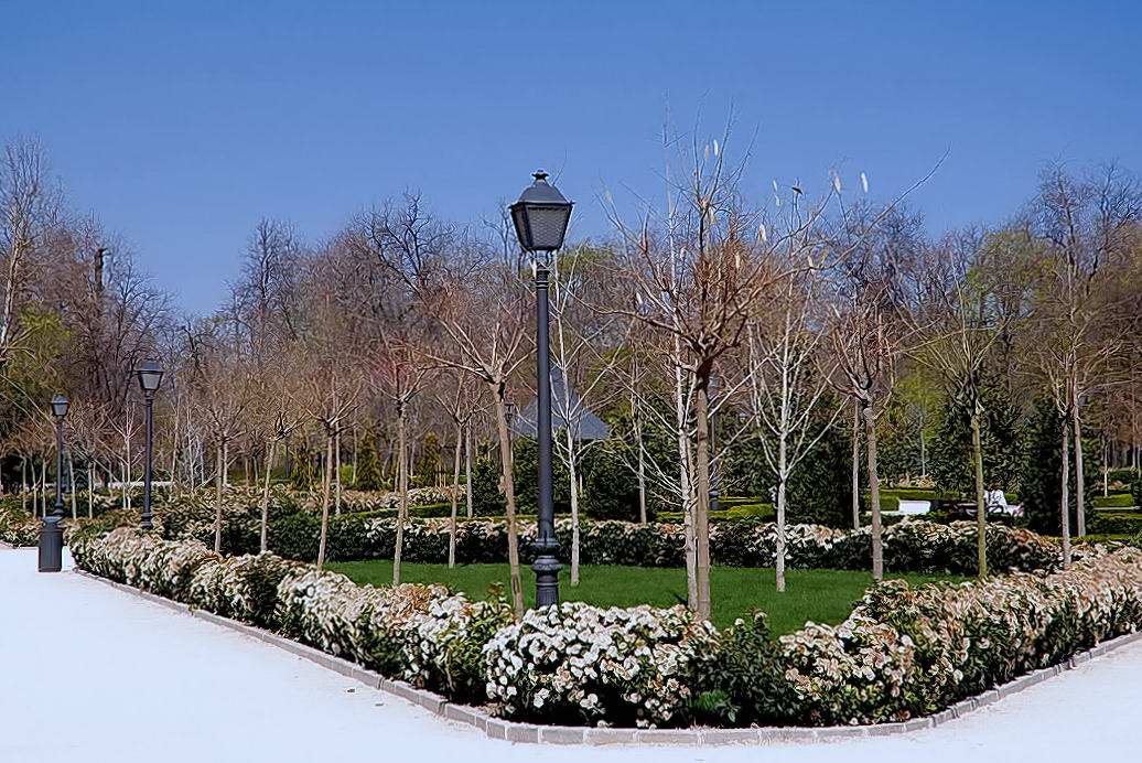 Foto de Madrid (Comunidad de Madrid), España