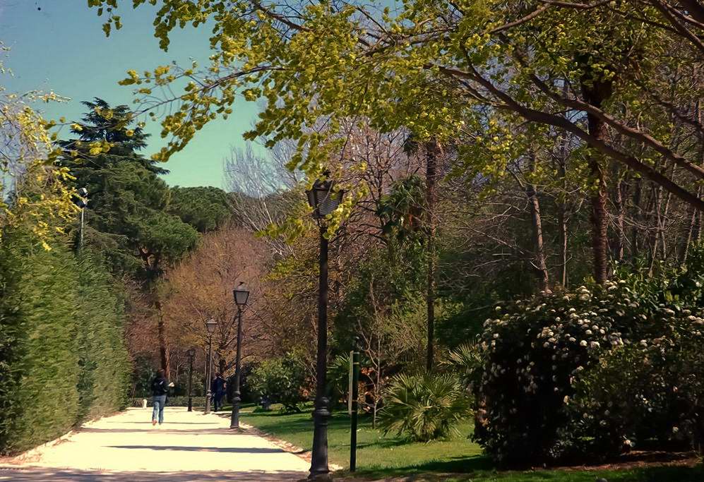 Foto de Madrid (Comunidad de Madrid), España