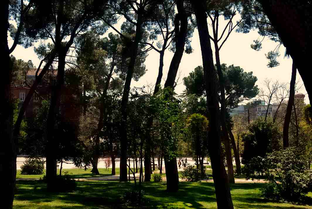 Foto de Madrid (Comunidad de Madrid), España