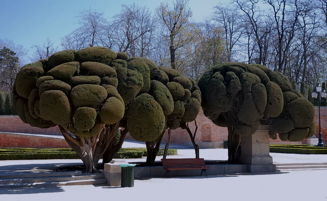 Foto de Madrid (Comunidad de Madrid), España