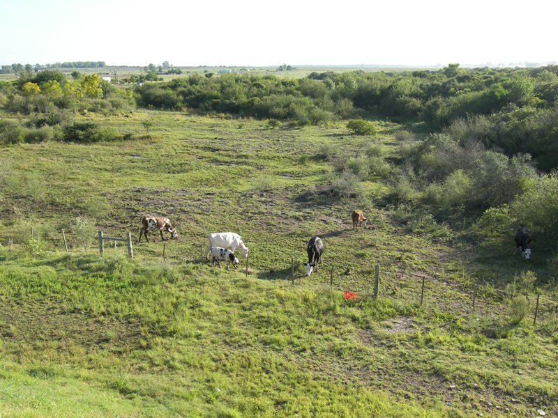 Foto de Salto, Uruguay
