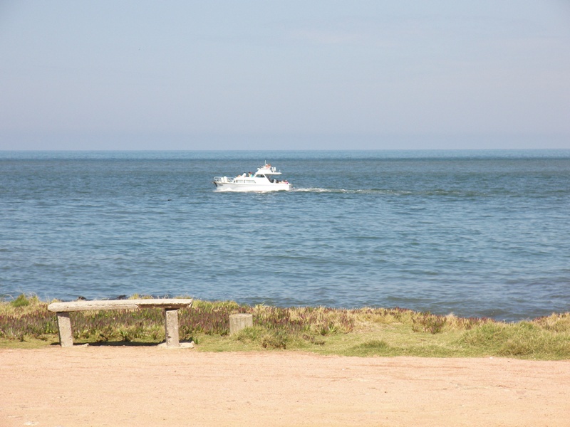 Foto de Punta del Este, Uruguay