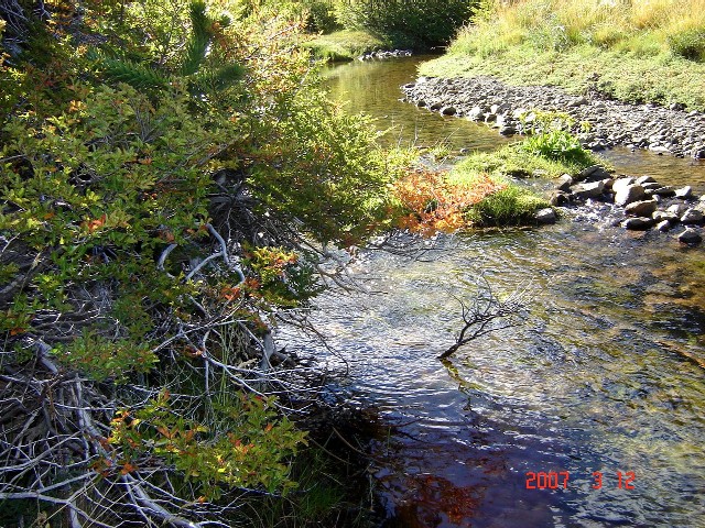 Foto de Caviahue, Argentina