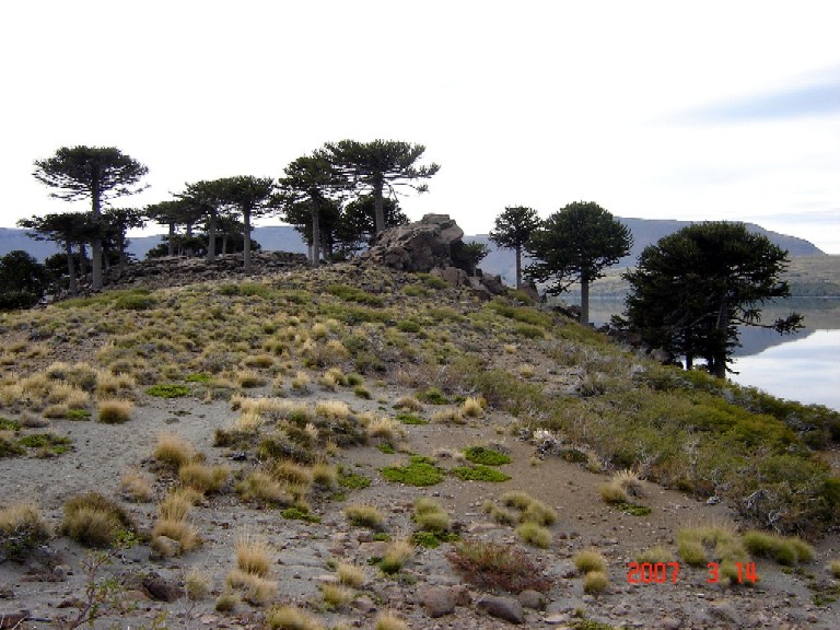 Foto de Caviahue (Neuquén), Argentina