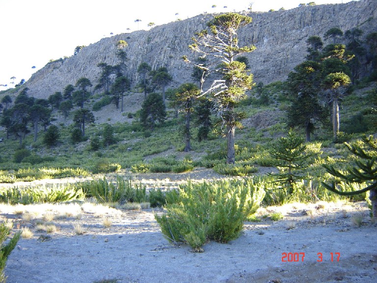 Foto de Caviahue (Neuquén), Argentina