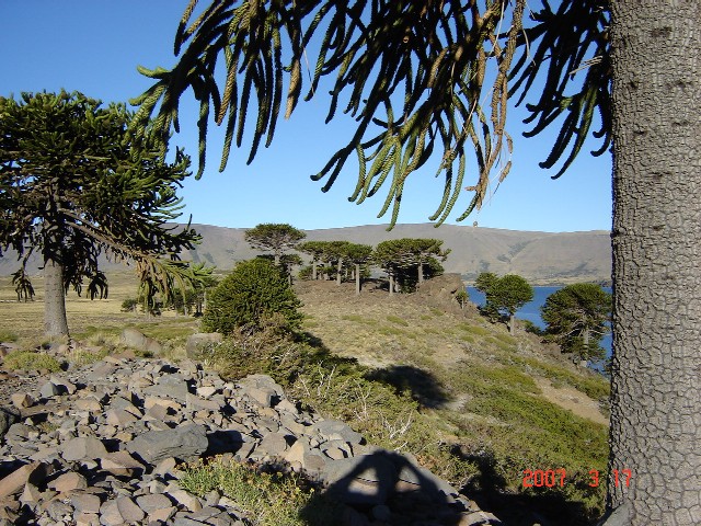 Foto de Caviahue (Neuquén), Argentina