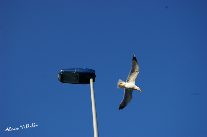 Foto de Ceuta, España