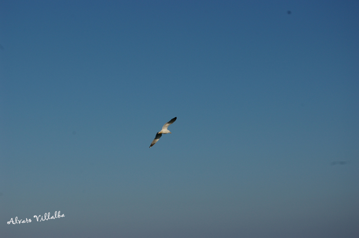 Foto de Ceuta, España